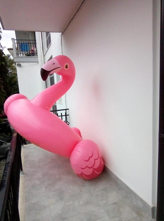 Hotel Arabesco Rimini Dış mekan fotoğraf